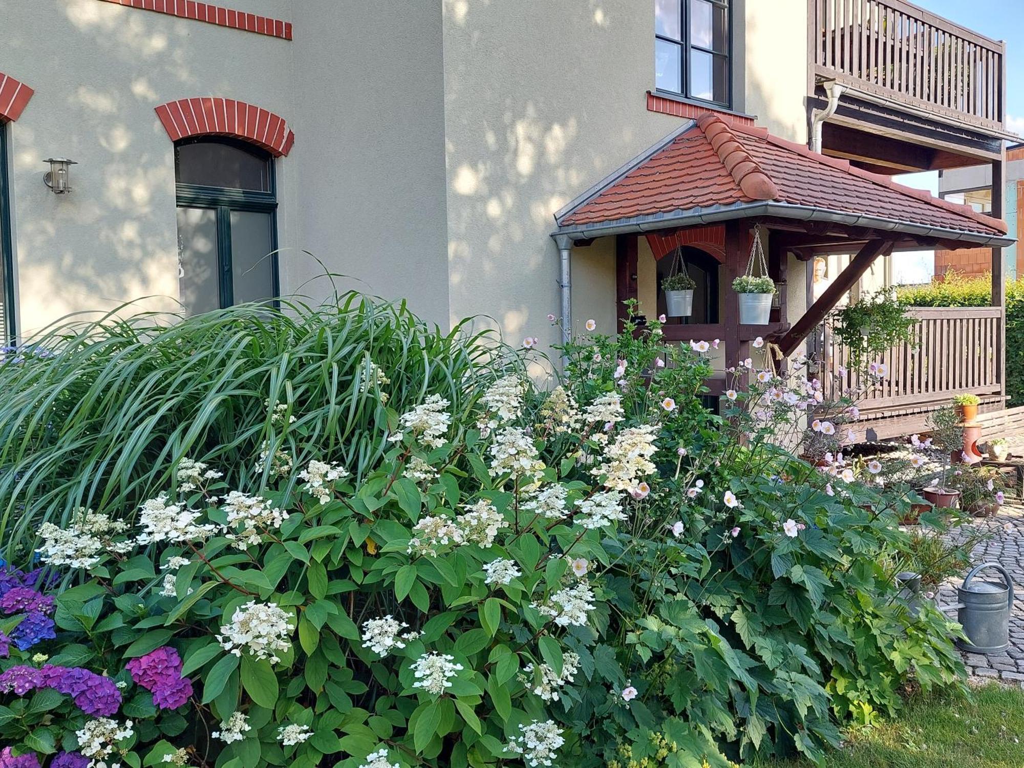 Ferienwohnung Am Buergerteich 2 Bischofswerda Exterior foto